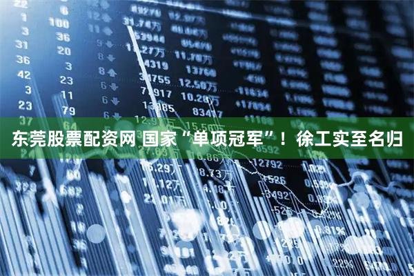 东莞股票配资网 国家“单项冠军”！徐工实至名归