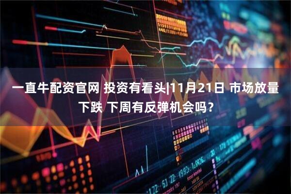 一直牛配资官网 投资有看头|11月21日 市场放量下跌 下周有反弹机会吗？